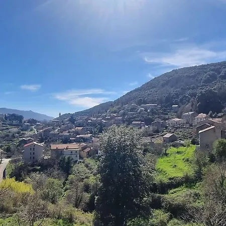 Maison Avec Grands Volumes * Levie