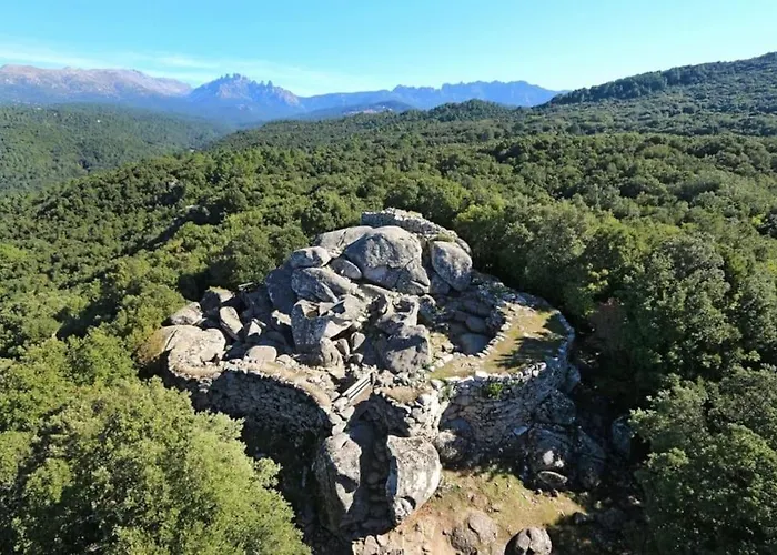Appartement Maison Avec Grands Volumes