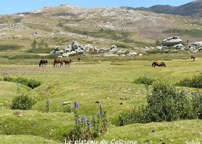 Maison Avec Grands Volumes * Levie